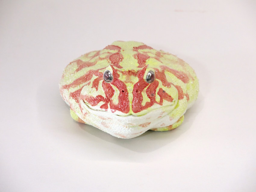 陶芸家 今井完眞：個展について
