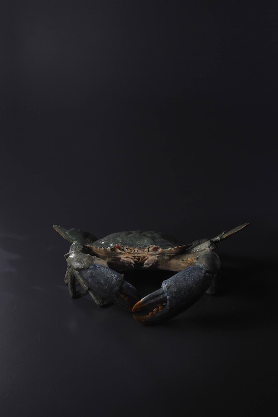 陶芸家 今井完眞：個展開催中