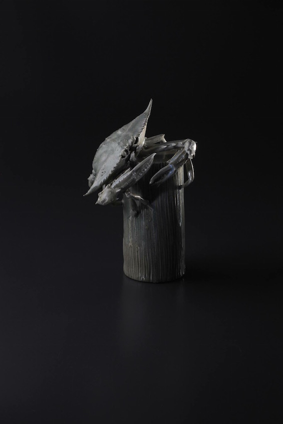 たま右衛門　シーラカンス 陶芸家 今井完眞：個展開催中